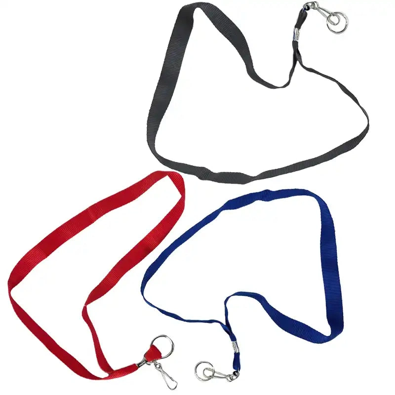 Cool Keychains 17 Vibrant Lanyards for Keys & ID